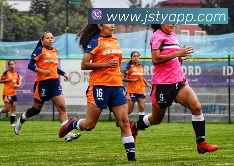 极速体育APP平台生态图